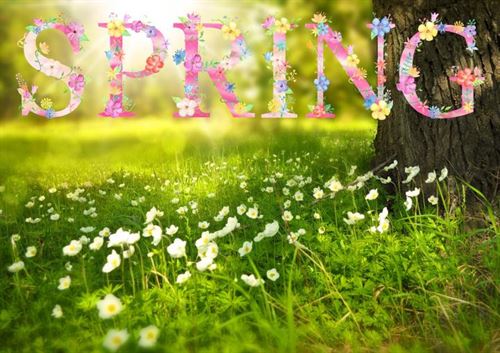 spring
